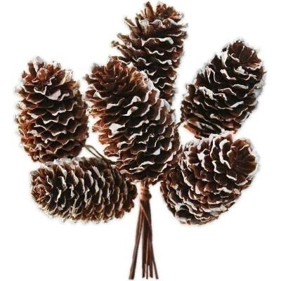 Šišky natural zápich 11cm bílá patina