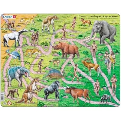 Larsen - Образователен пъзел - Eволюция - 83 части (HL3)