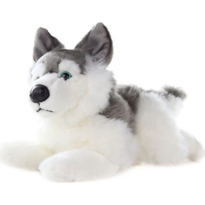 pes husky 34 cm