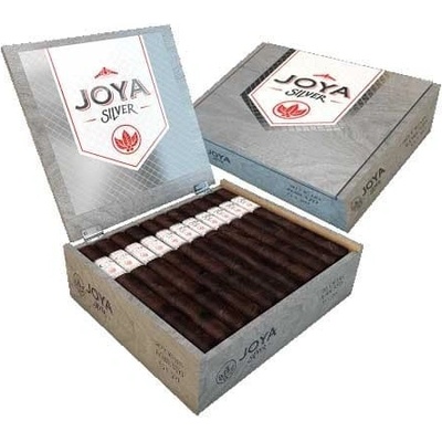 Joya DE NICARAGUA SILVER TORO 20 ks