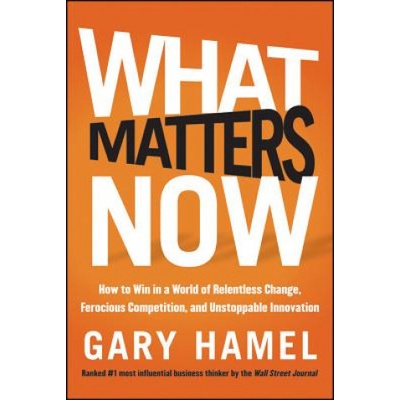 What Matters Now Hamel Gary