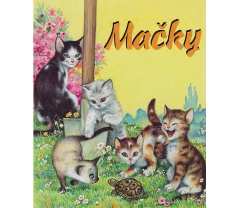Mačky