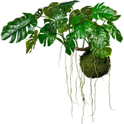 Umělá Kokedama Philodendron XXL, 80x120cm
