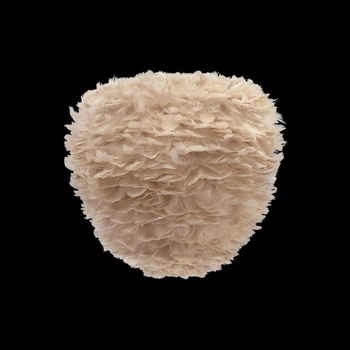 UMAGE 2468
