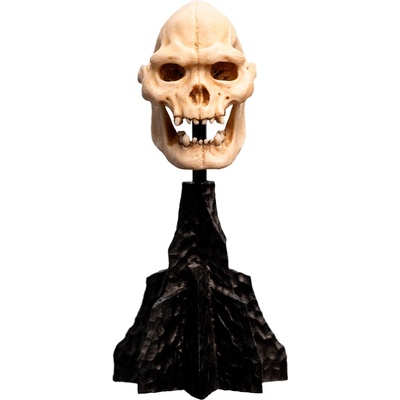 Weta Workshop Lord of the Rings Skull of Lurtz Minuature 15 cm
