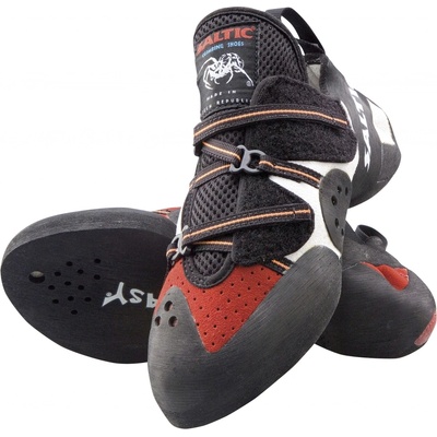 Saltic Q-step
