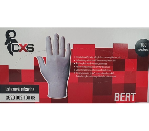 CXS BERT