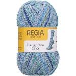 Regia Energy Flow Col 00183 Dynamic Плетива прежда (9801639-00183)