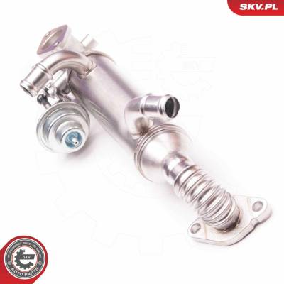 AGR - Ventil ESEN SKV 14SKV119