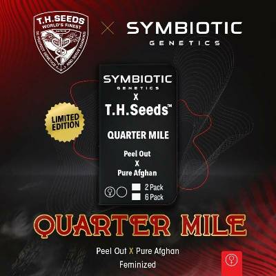 T.H. Seeds Quarter Mile semena neobsahují THC 6 ks