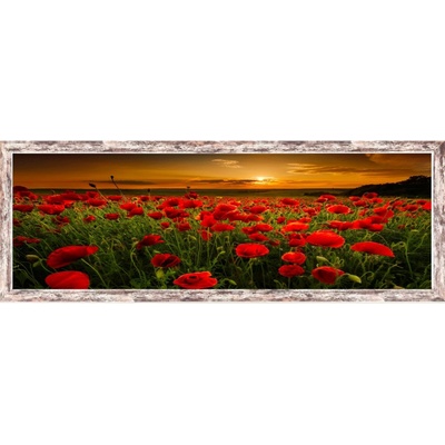 Bondecor Obraz, MDF rám, Příroda 30 x 90 cm