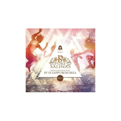 Various - Pure Salinas No.6 CD