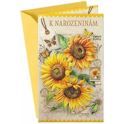 ARGUS Přání k narozeninám 15-6575c