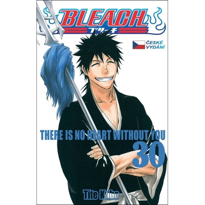 Bleach 30 - Tite Kubo
