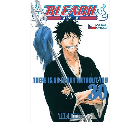 Bleach 30 - Tite Kubo
