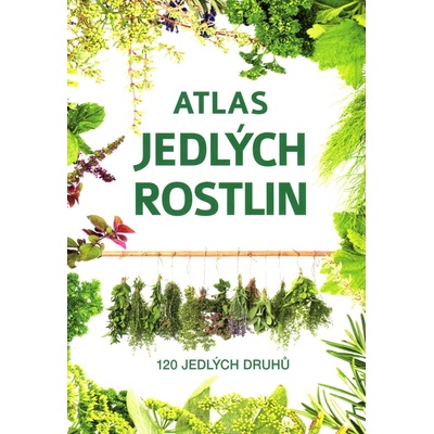 Atlas bylin