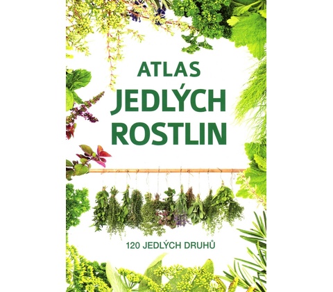 Atlas bylin