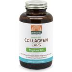 Mattisson Healthstyle Collagen Capsules | with Peptan® Type II Collagen [180 капсули]
