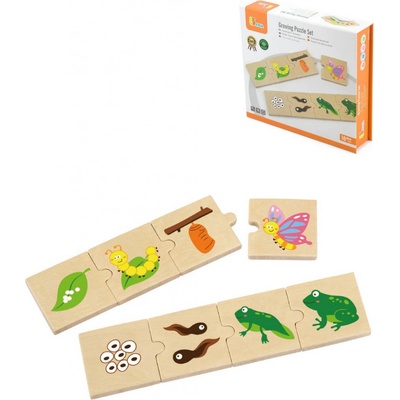 Viga puzzle evoluce