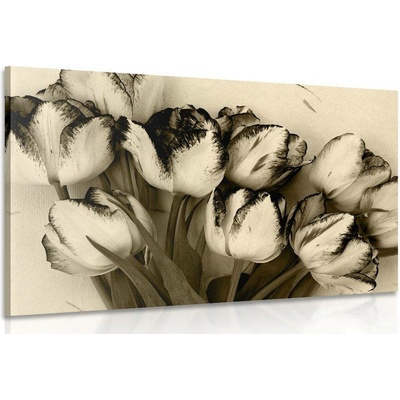 Obraz jarní tulipány v sépiovém provedení - 60x40