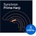Vienna Symphonic Library Synchron Prime Harp (Дигитален продукт)
