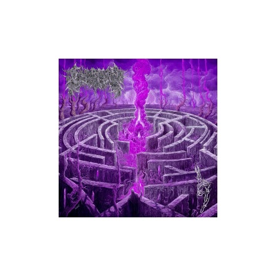 Civerous - Maze Envy CD