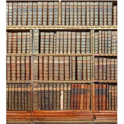 DIMEX ART Флизелинов фототапет библиотека 225 x 250 см