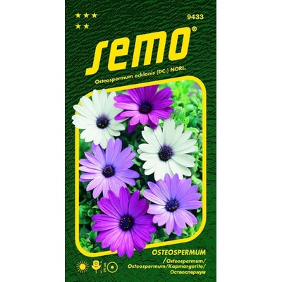 Semo Osteospermum - směs Balade 0,30g