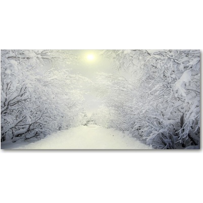 Foto obraz fotografie na skle Pekný zimný les 100x50 cm