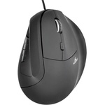 Bluestork M-W-ERGO