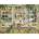 SunsOut - Puzzle Gardens in Art - 1 000 piese