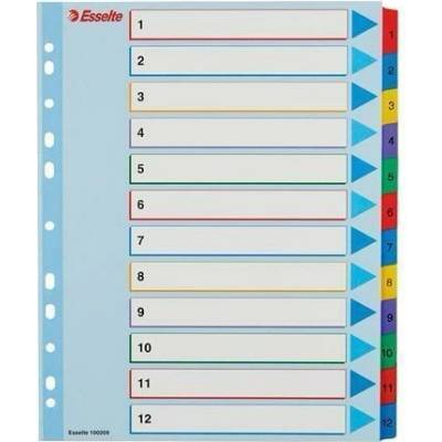 Zesílené rejstříky "Standard", popisovatelná titulní str., mix barev, karton, A4 Maxi, 1-12,