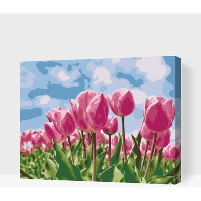 Vymalujsisam Maľovanie podľa čísiel Ružové tulipány