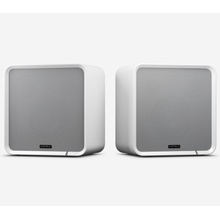 EverSolo SE100