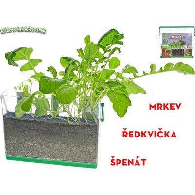 Mikro trading Grow&Decorate Vypěstuj si svou zahrádku 3 druhy sazenic s hlínou