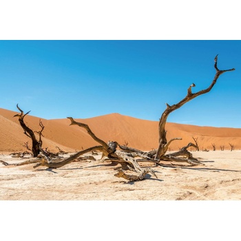 DIMEX ART s. r. o Флизелинов фототапет суха пустиня 375 x 250 см