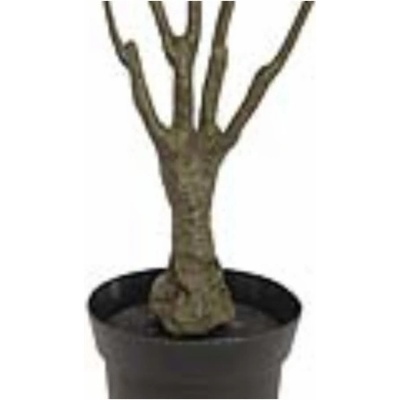Dracena zeleno-červená, 90 cm