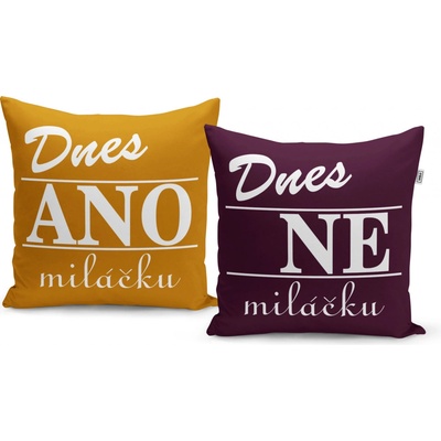 Sablio Polštář Dnes ANO dnes NE 40x40 – Zbozi.Blesk.cz