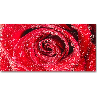 Fotoobraz na skle Kvapky vody na ružu 100x50 cm