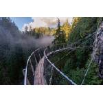 DIMEX ART Флизелинов фототапет висящ мост 375 x 250 см