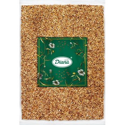 Diana Company Ľan hnedý 1000 g