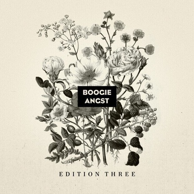Various Artists - Boogie Angst: Edition Three (LP) (5050580748453)