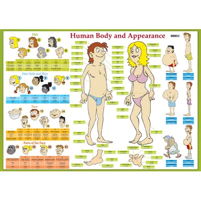 Karta Human Body and Appearance AJ