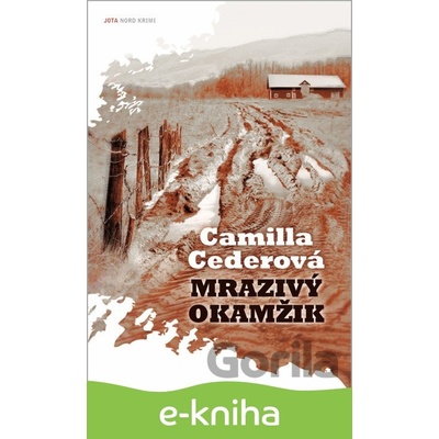Mrazivý okamžik - Camilla Ceder CZ