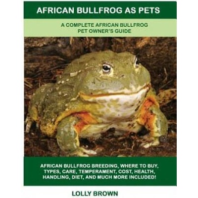 African Bullfrog as Pets | Lolly Brown