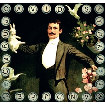 David Stypka a Bandjeez - Čaruj (LP) (0602445580293)