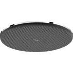 Hansgrohe Raindance Alive S - Душ пита, диаметър 30 cm, хром 24520000 (24520000)