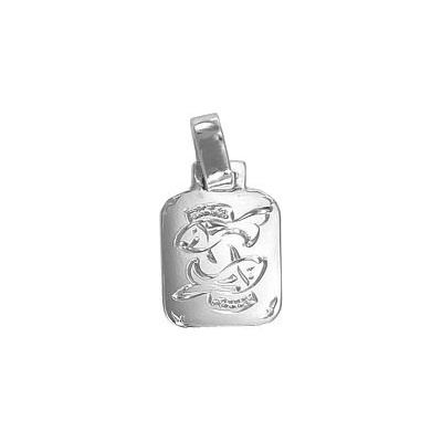 Infinitysilver Přívěsek ze stříbra znamení Ryby 44115ryby