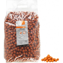CAPERLAN boilies na kaprařinu Wellmix 10 kg 20 mm Monster Crab