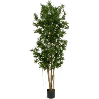 Umelá rastlina Podocarpus 150 cm